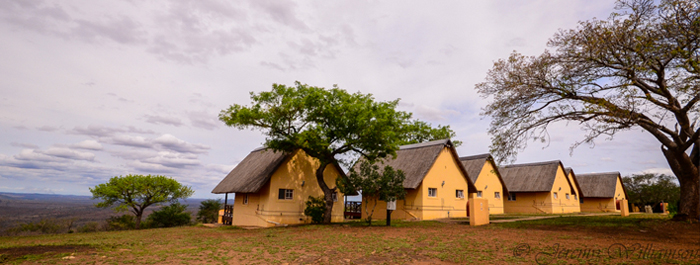 2 Bed Chalet Mpila Camp Hluhluwe iMfolozi uMfolozi Game Reserve Self-catering Accommodation KwaZulu-Natal South Africa Big 5 Safari Park